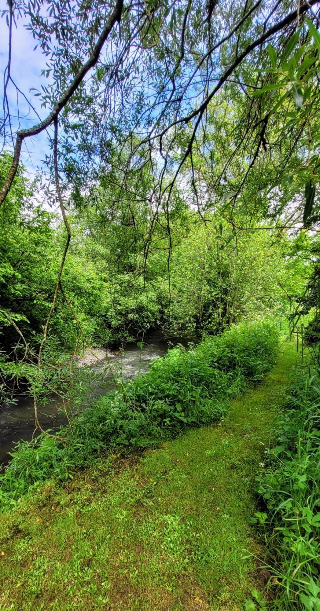 Kingsley Cottage - Beautiful Riverside Setting Beaworthy Exterior photo